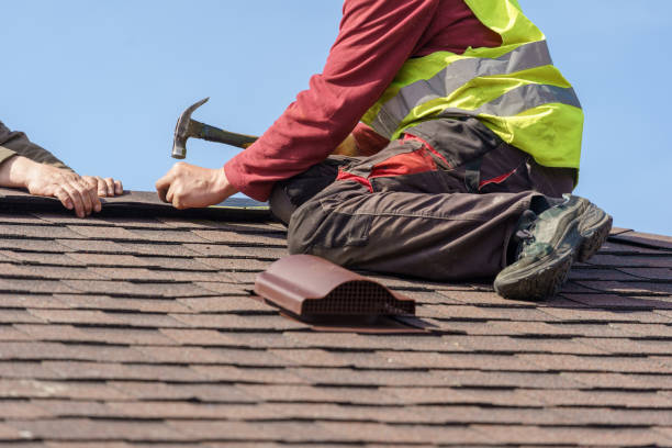 Best Emergency Roof Repair  in Fishhook, AK