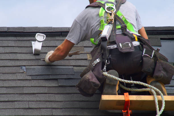 Best Metal Roofing Contractor  in Fishhook, AK