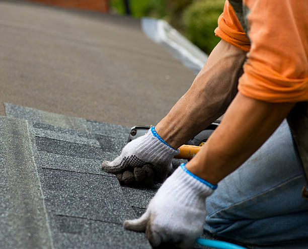 Best Roof Maintenance Services  in Fishhook, AK
