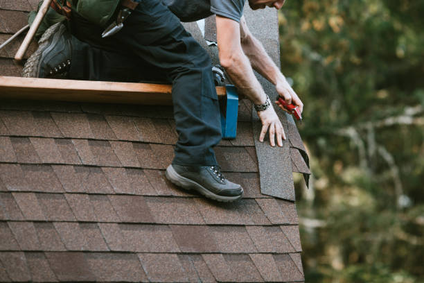 Best Gutter Installation and Roofing  in Fishhook, AK